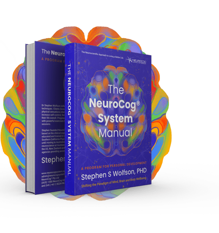 The NeuroCog System Manual