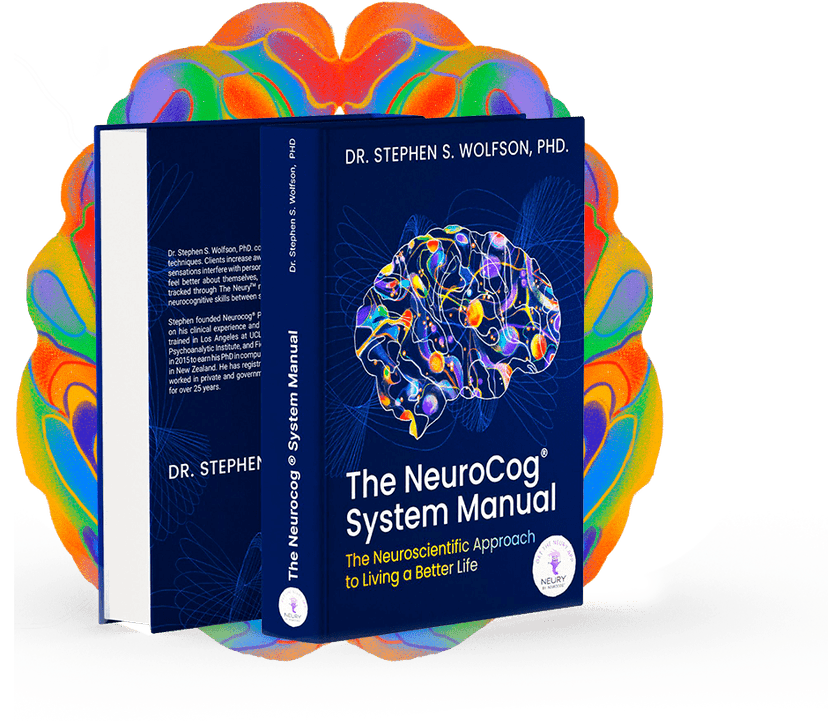 The NeuroCog System Manual