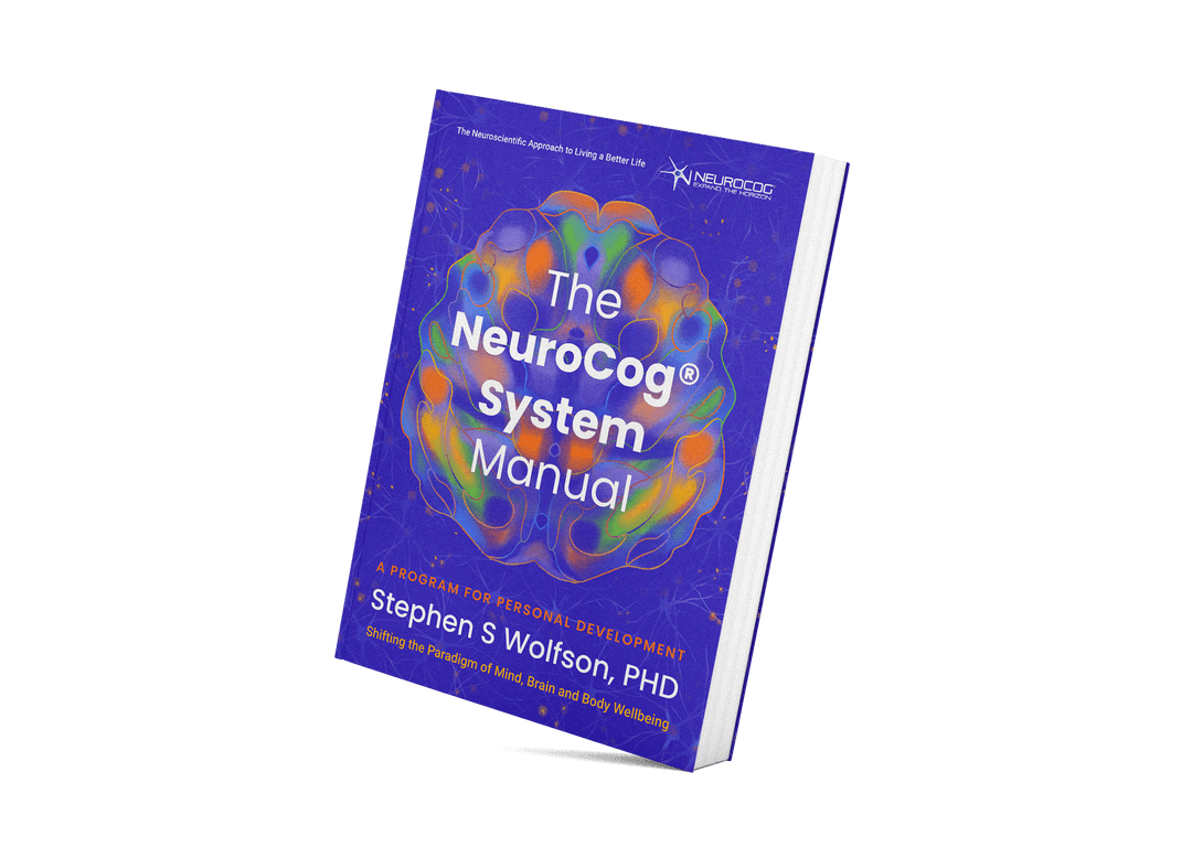 The NeuroCog System Manual