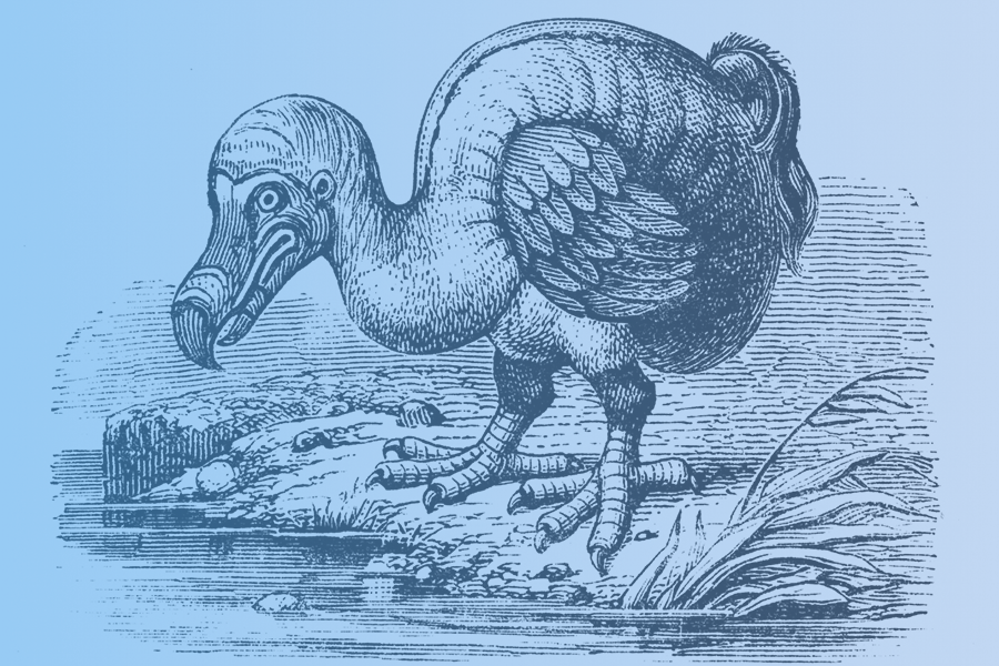 NeuroCog Article - Is All Therapy Created Equal? What the Dodo Bird Effect Tells Us - Article