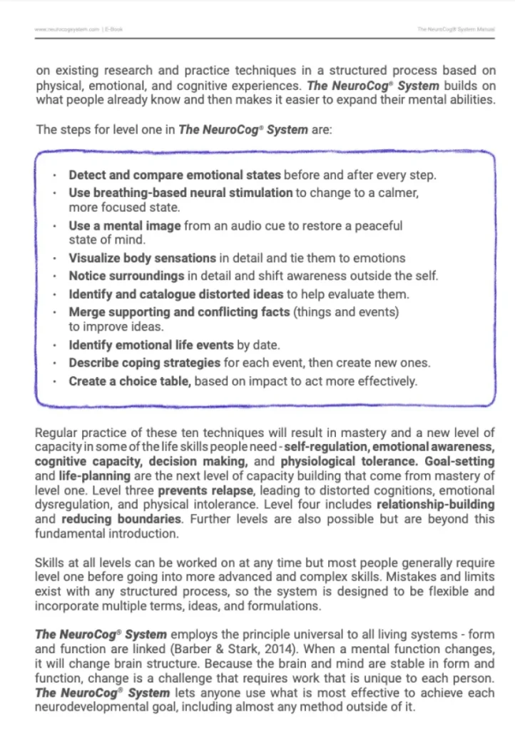 The NeuroCog® System - Slide 1