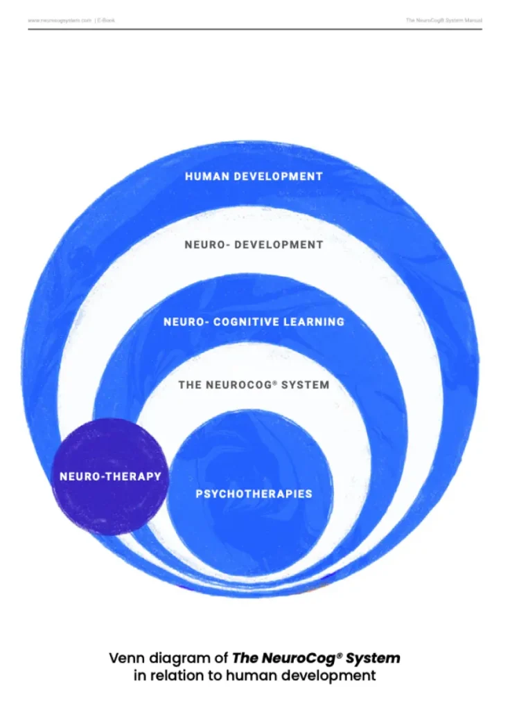 The NeuroCog® System - Slide 2