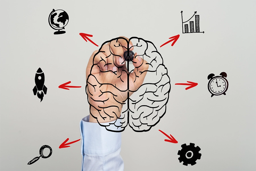 NeuroCog Article - Human Development and Growth Mindset