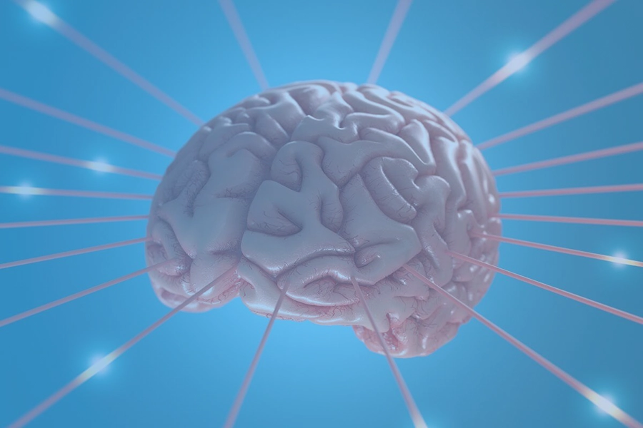 NeuroCog Article - Our Construct of Reality – It’s Not Reality